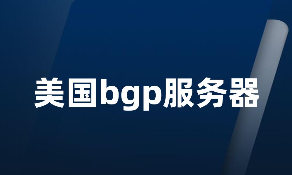 美国bgp服务器