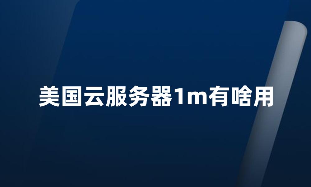 美国云服务器1m有啥用