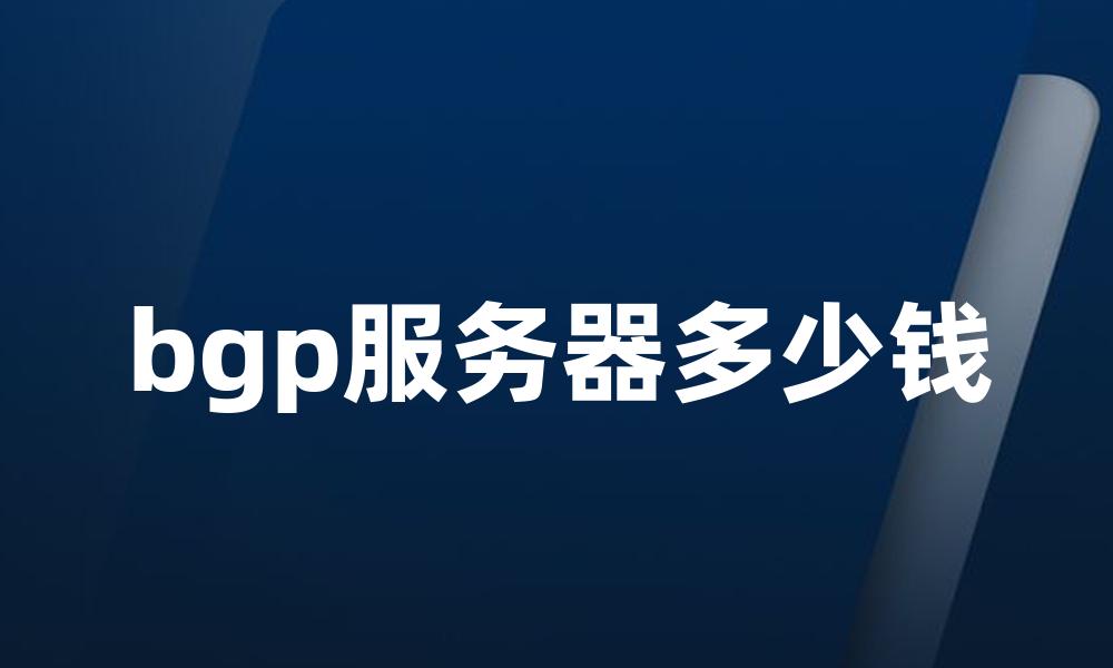 bgp服务器多少钱