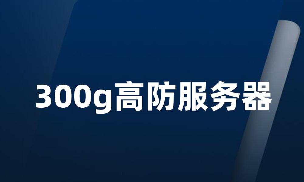 300g高防服务器