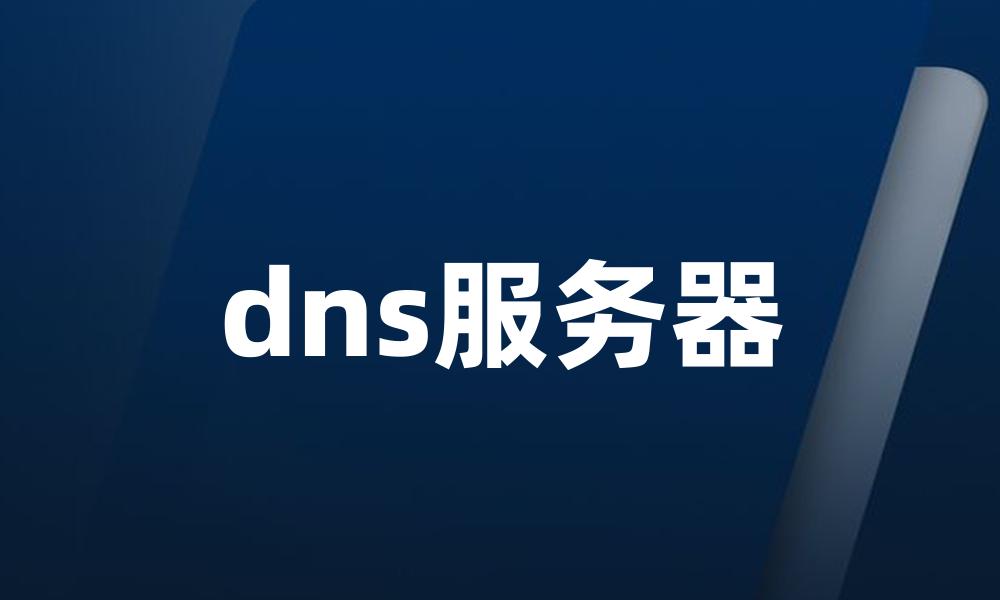 dns服务器