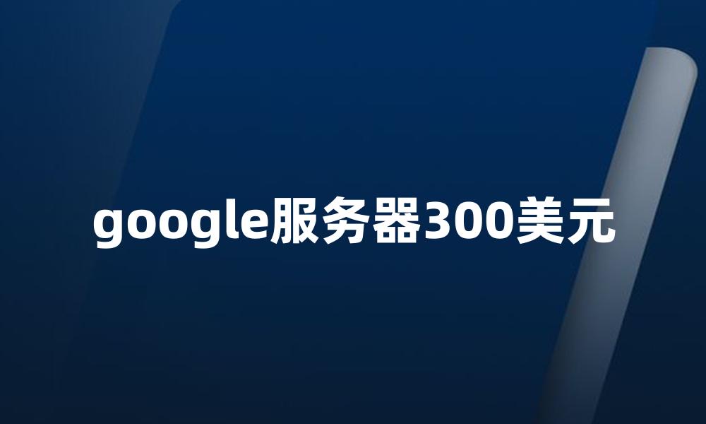 google服务器300美元