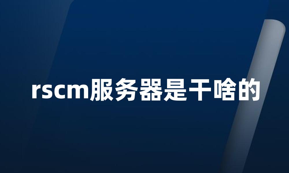 rscm服务器是干啥的