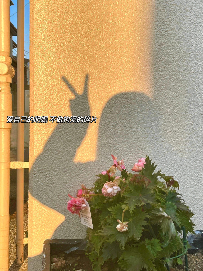 ES机房